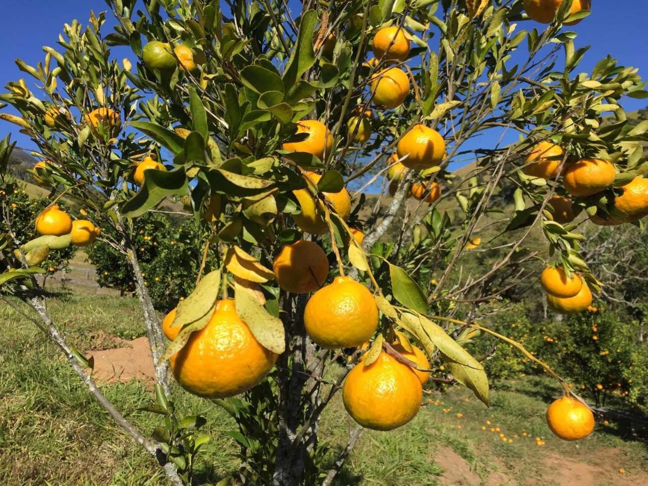 Pousada Água Limpa Virgínia Exterior foto