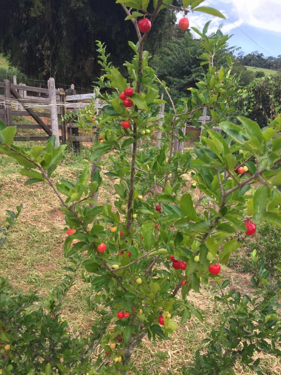 Pousada Água Limpa Virgínia Exterior foto